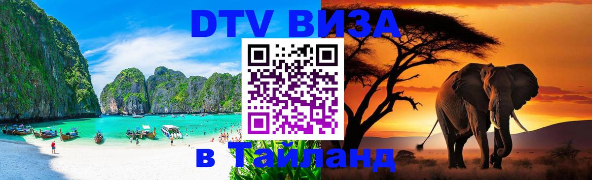 Оформление DTV визы под ключ: стоимость и тарифы, только загранпаспорт - 